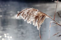 1 - Le Bokeh